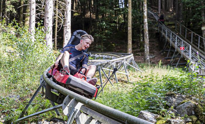 Fforest Coaster
